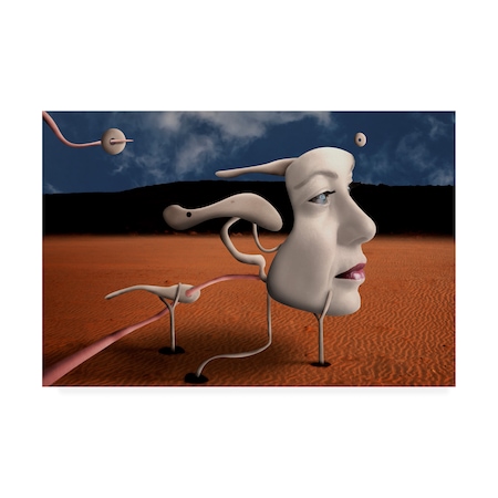 Trademark Fine Art Alessandro Petrini 'A Tribute To Salvador Dali' Canvas Art, 22x32 1X08610-C2232GG